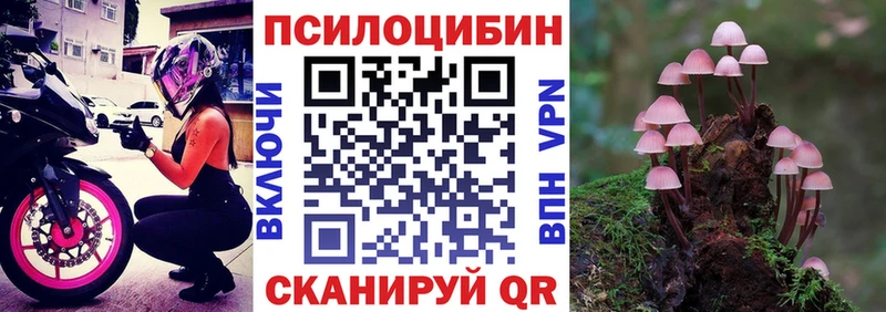 Псилоцибиновые грибы ЛСД  где купить наркотик  ссылка на мегу tor  Прохладный 