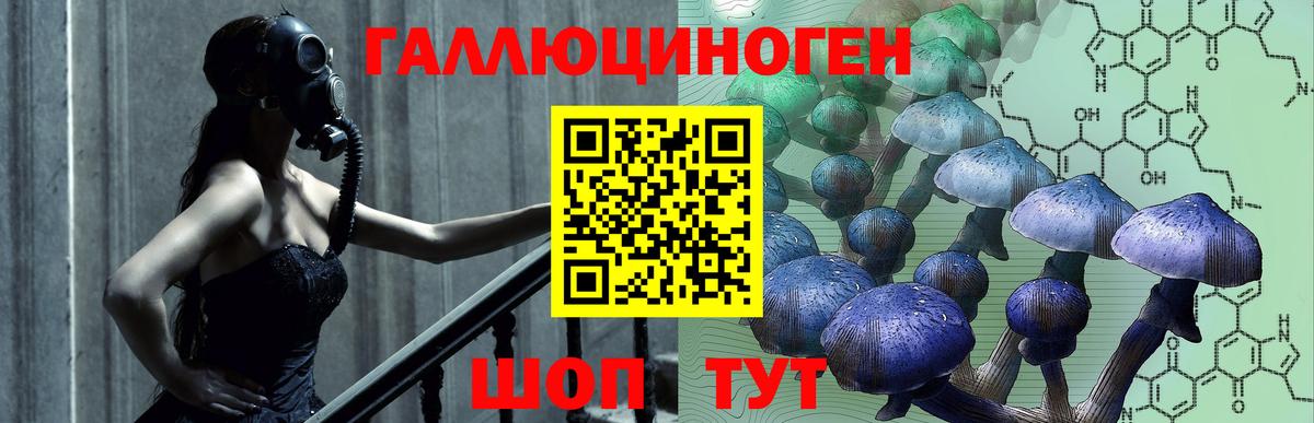 Псилоцибиновые грибы MAGIC MUSHROOMS  Вход с VPN  Прохладный  Псилоцибиновые грибы Psilocybe 